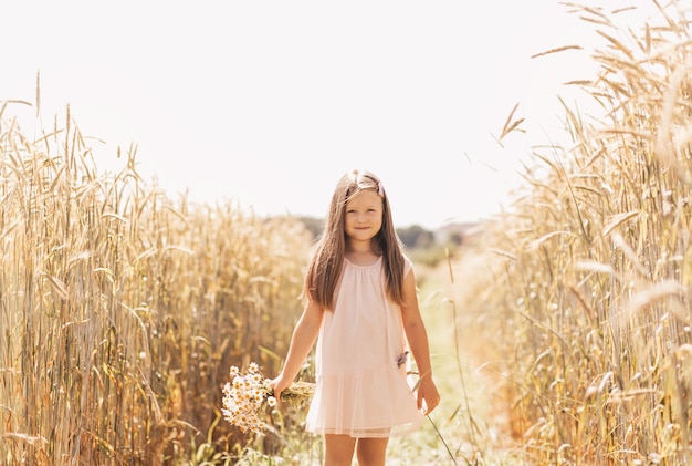 A little beautiful girl with a bouquet of daisies in a wheat field