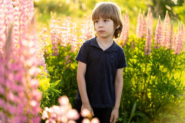 Little blond boy in a field with lupin flowers.