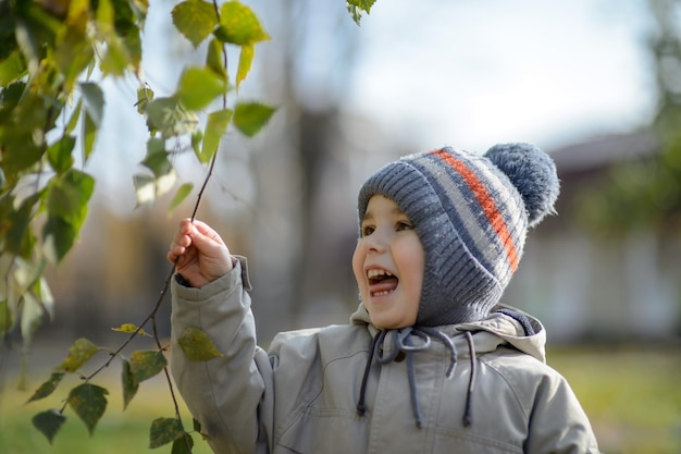 A little boy of 3 years old laughs in the park under the branches of a tree