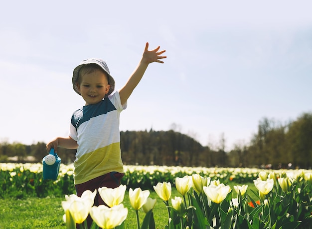 Little boy in beautiful garden with watering can among yellow tulips flowers Child playing outdoors in spring park Tulip field in Arboretum Slovenia Family on nature