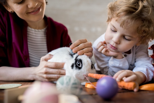 Little Boy Feeding Pet Bunny