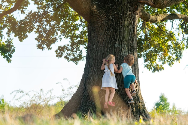 Little boy and girl climbing tree on meadow Childhood youth growth