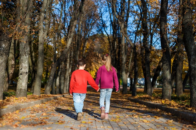 Little boy and girl go hand in autumn park. back view