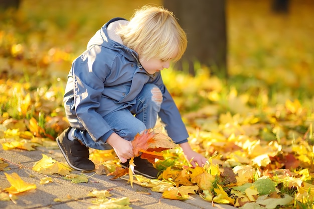 Little boy having fun during a stroll in the forest