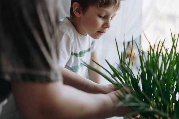 Little boy helping his grandmother to pick fresh onion