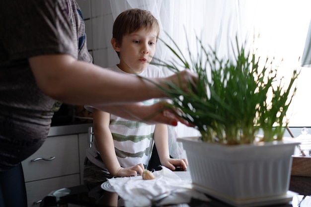 Little boy helping his grandmother to pick fresh onion