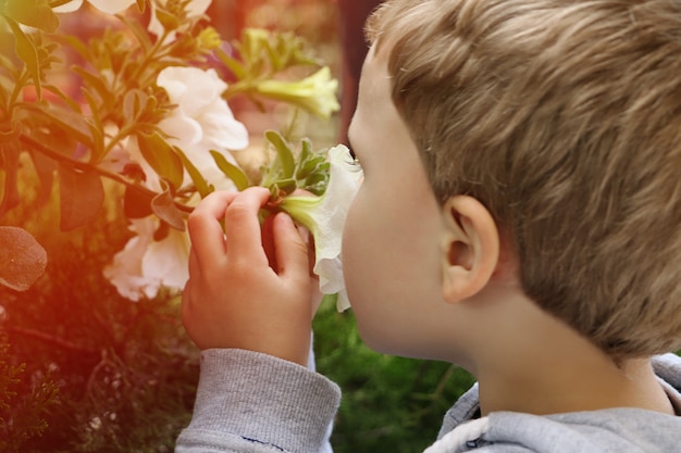 Photo little boy hold summer flowers and smelling them.cute blond toddler.close up photography.