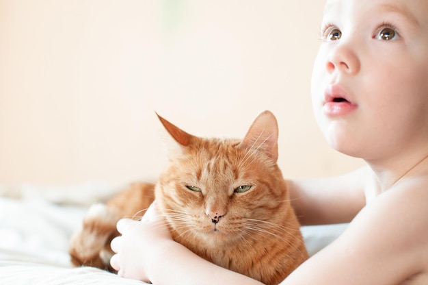 little boy hugging a ginger cat