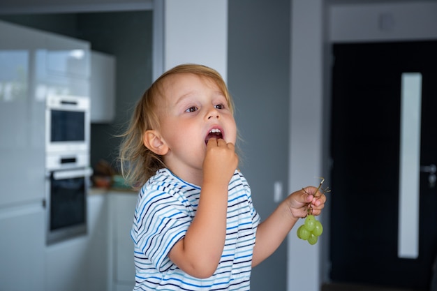 Little boy is sitting on a table in the kitchen and eating grapes. Child is tasting healthy food.