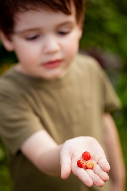 Little boy looks at freshly picked ripe strawberries while squatting in the garden