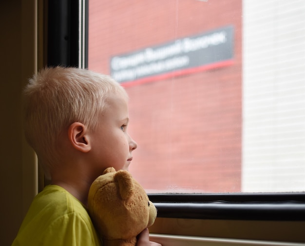 Little boy looks through the window