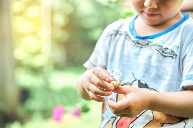 Little boy observing small green snail crawling on hand while exploring nature in summertime