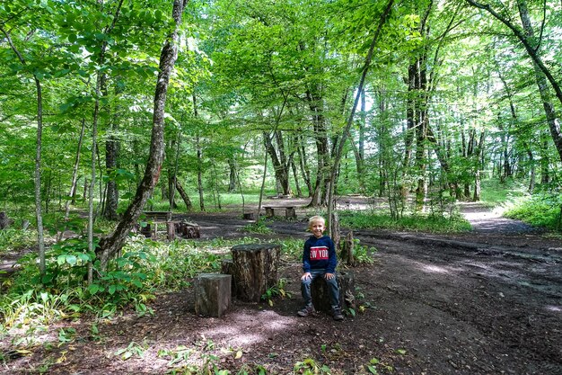 A little boy in a picturesque forest on the way to the eagle regiment Mezmai 2021