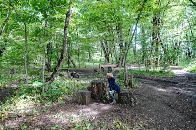 A little boy in a picturesque forest on the way to the eagle regiment Mezmai 2021