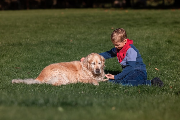 Little boy playing and training golden retriever dog in the field in summer day together Cute child with doggy pet portrait at nature