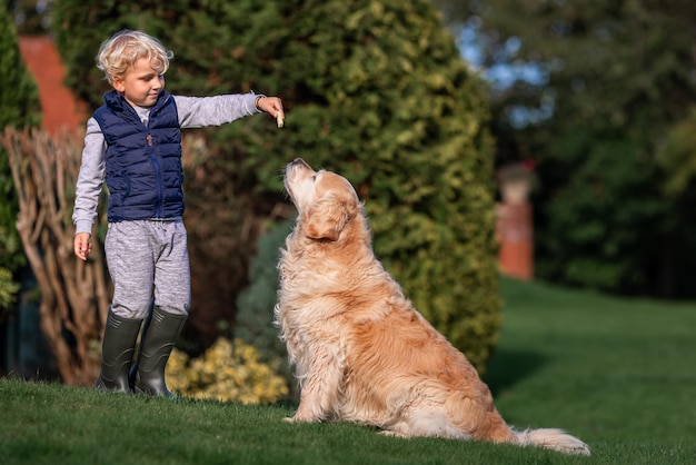 Little boy playing and training golden retriever dog in the field in summer day together Cute child with doggy pet portrait at nature