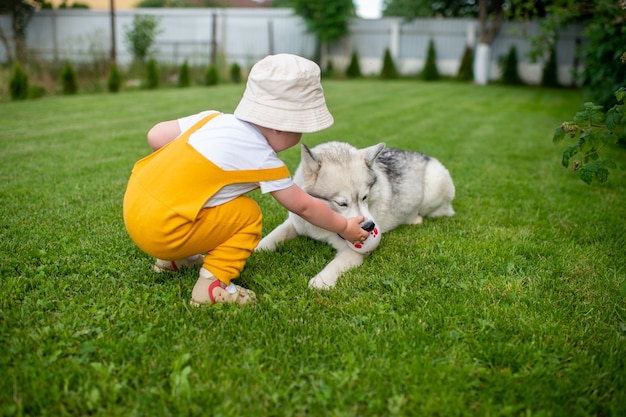 A little boy playing with the dog in the garden