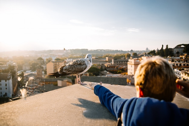 Little boy reaches for the Seagull. Rome. Italy