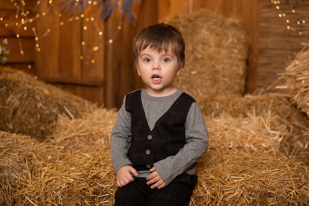 Little boy sitting in straw sheaves in farm, countryside, farming