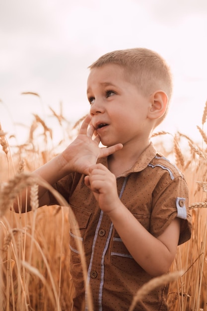 A little boy stands in a field in wheat and looks away