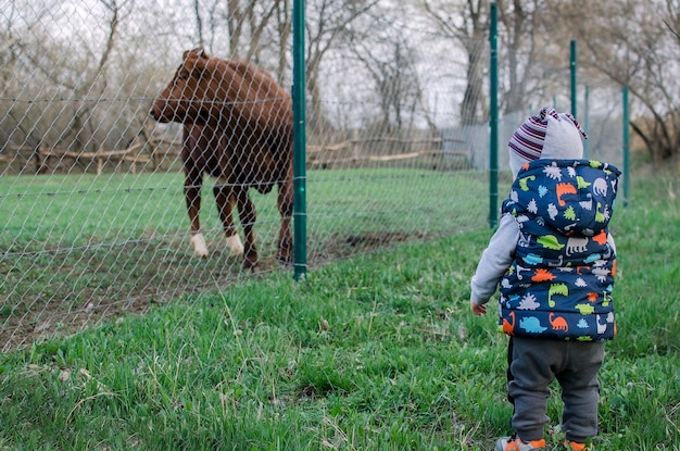 A little boy stands near a corral with a cow Children and animals in the village