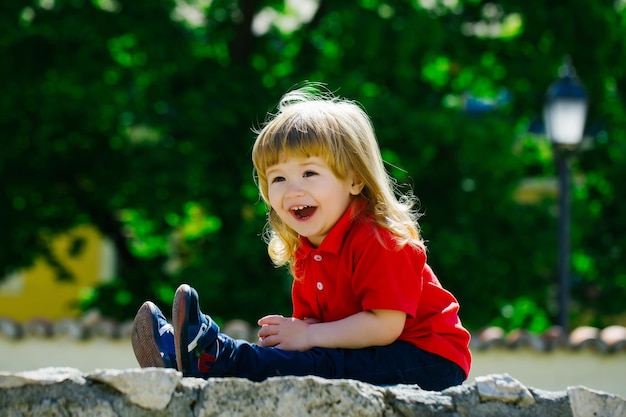 Little boy on the stone fence