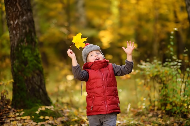 Little boy during stroll in the forest at sunny autumn day