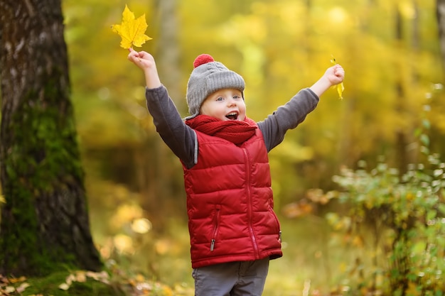 Little boy during stroll in the forest at sunny autumn day