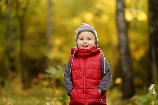 Little boy during stroll in the forest at sunny autumn day