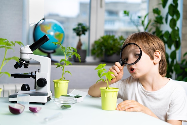 Little boy studies plants under a microscope emotions of joy and smile