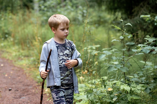 Little boy walking alone on a country road in summer evening with a stick in his hands