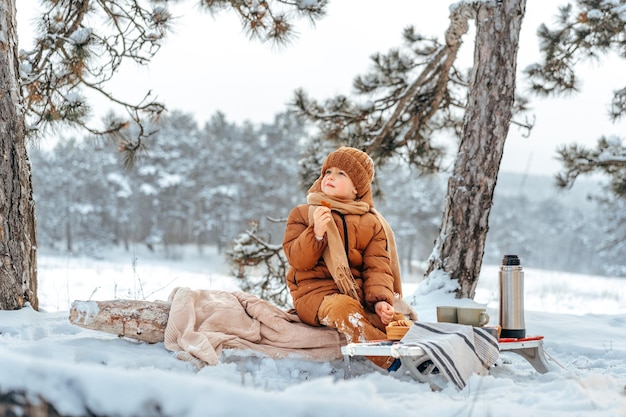 Little boy in a winter park or forest