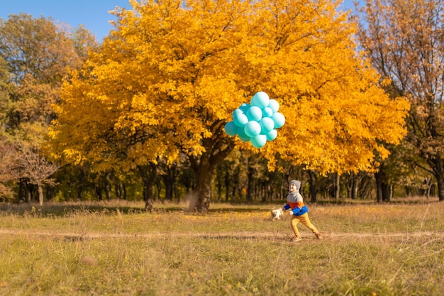 A little boy with an armful of balloons walks in the autumn park Yellow trees and blue balls Stylish child