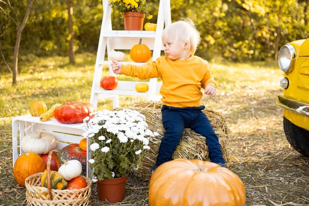 Little boy with flowers and pumpkins in autumn park background with golden trees