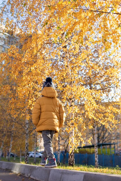 A little boy in a yellow jacket walks through the autumn park View from the back Autumn colors