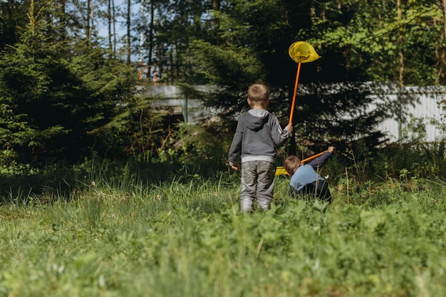 Little boys with butterfly nets in countryside image with selective focus