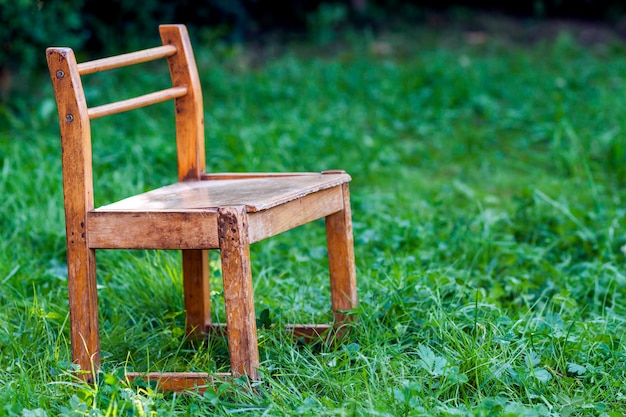 Little chair on green grass