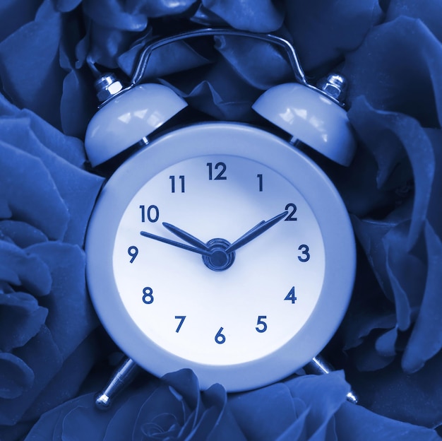 Little cute alarm clock surrounded by roses heads phantom classic blue color