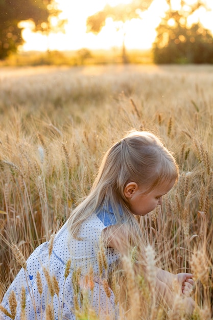 Little cute blonde girl in the blue dress in the wheat field at sunset tears spikelets of wheat