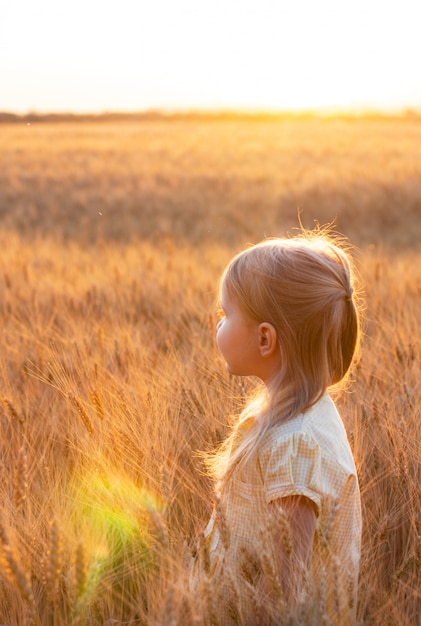 Little cute blonde girl in the yellow dress in the wheat field at sunset with sun reflections