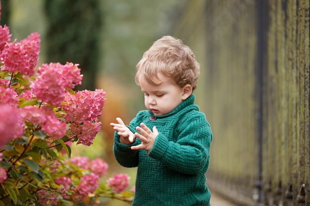 Little cute boy in the park  Lovelyl ittle boy in the autumn garden Outdoor activities for children