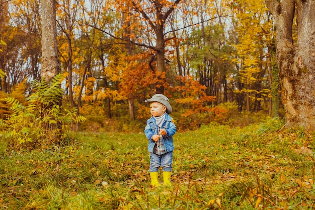 Little cute boy standing in an autumnal park with a branch in his hands