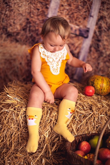 Little cute girl in the village is sitting in the hay with harvest from vegetables