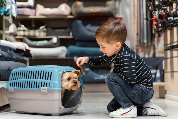 Little dog at the pet shop with owner