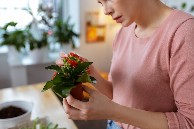 Little flowerpot. Close up of young woman loving plant holding little flowerpot with red flowers