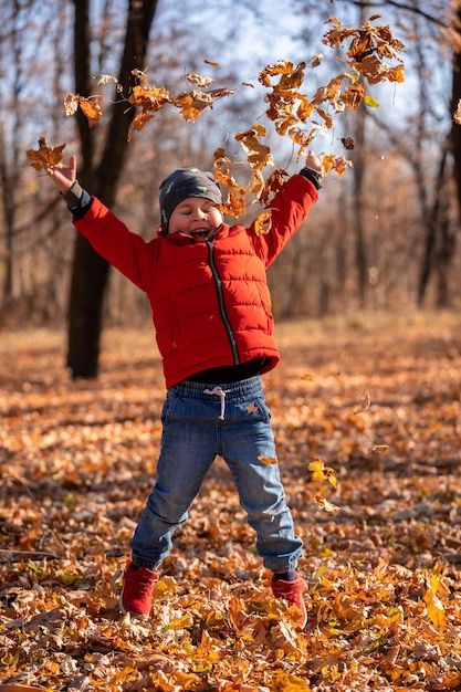 Little four years old boy play in the autumn park. Child jump and throw leaves. Happy kid walk outdoors.