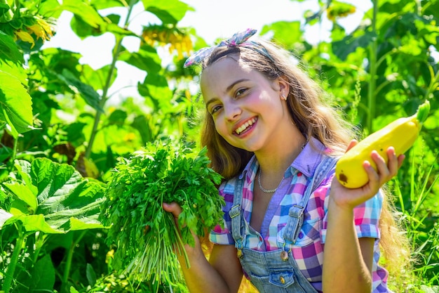 Little gardener girl growing fresh food just from farm