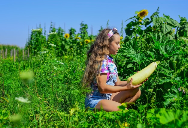 Little gardener girl working at farm, growing organic food.