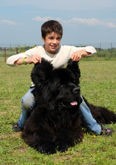 Photo little girl and big dog