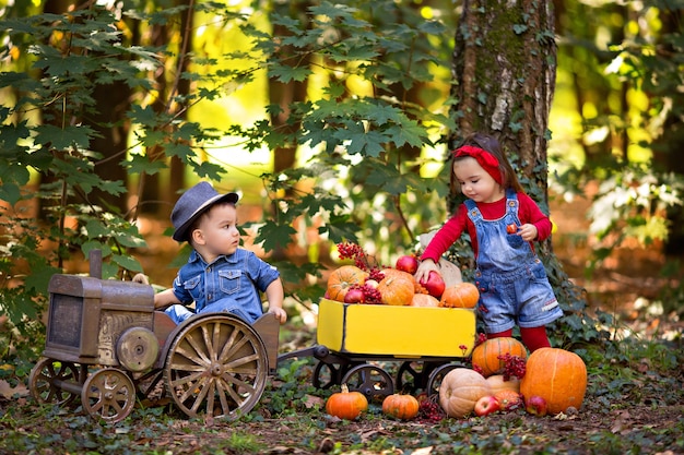 Little girl and boy baby in a tractor with a cart with pumpkins